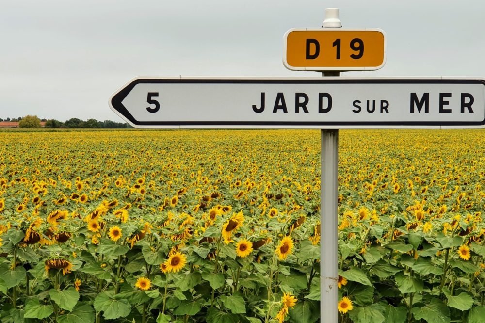 Roadsign to Jard sur Mer with Sunflowers